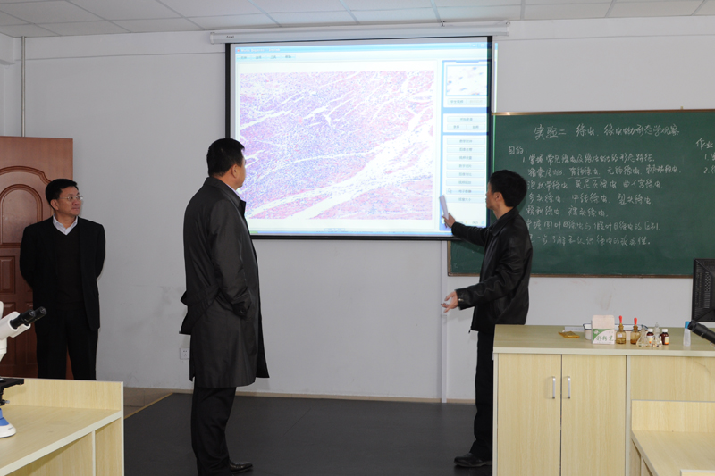 5-DSC_1156.JPG